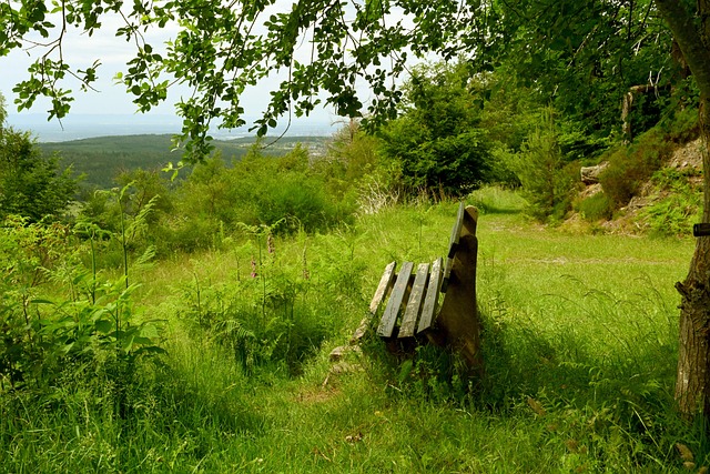 施建设和技 施建设和技