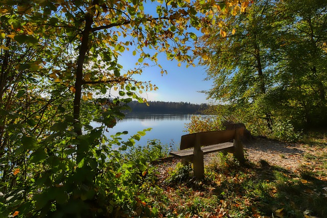 使他成为赛 使他成为赛