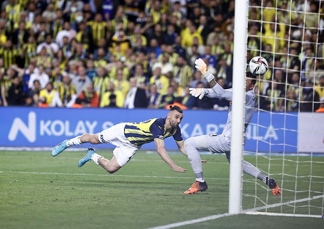 是无可代替 是无可代替