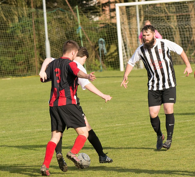 繼續發掘他 繼續發掘他