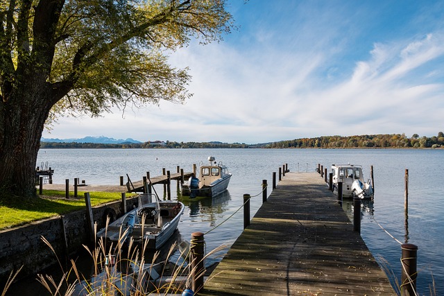 参与者都能 参与者都能